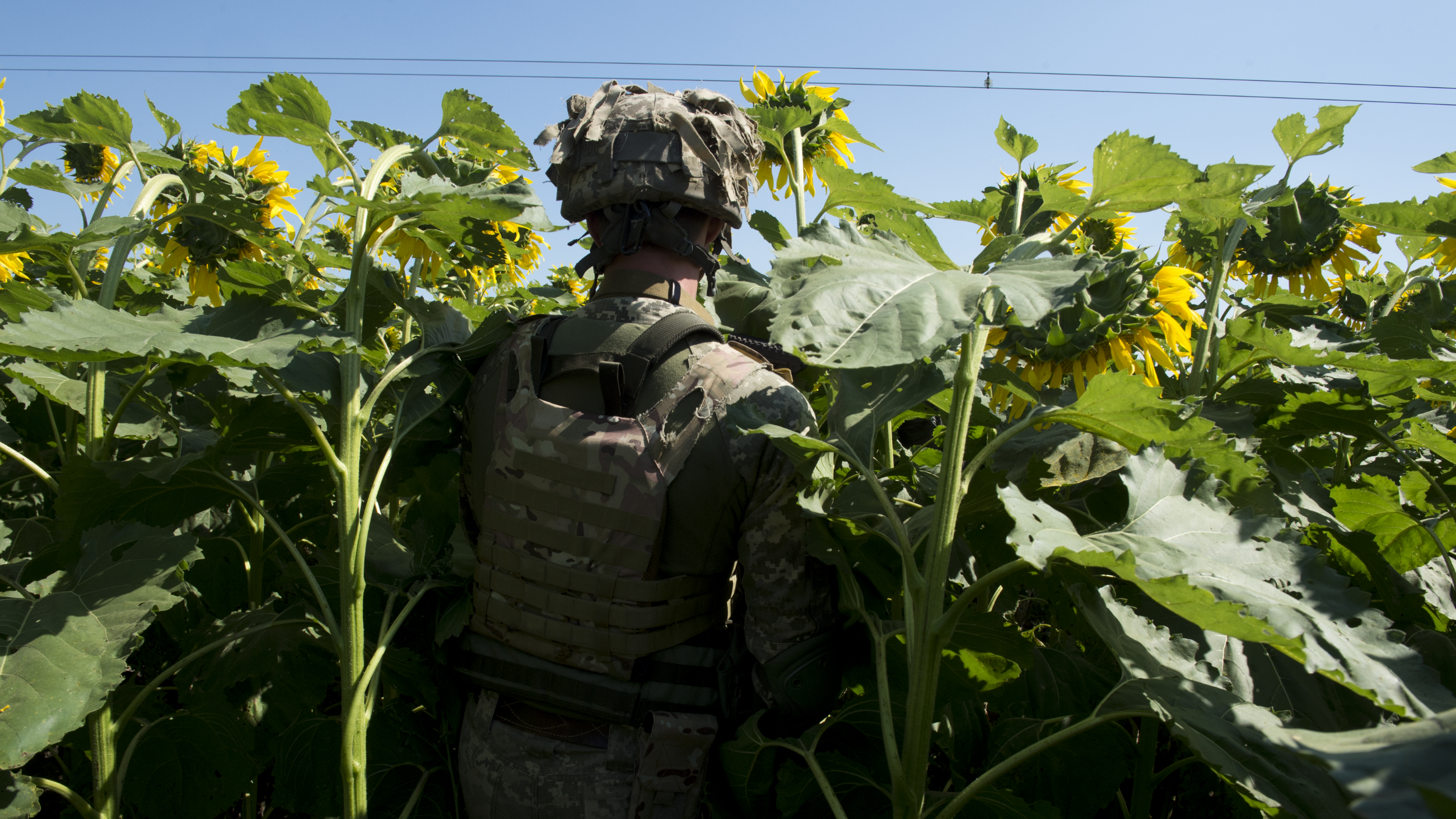 The Role of Media in Making and Breaking Ukraine’s War Effort